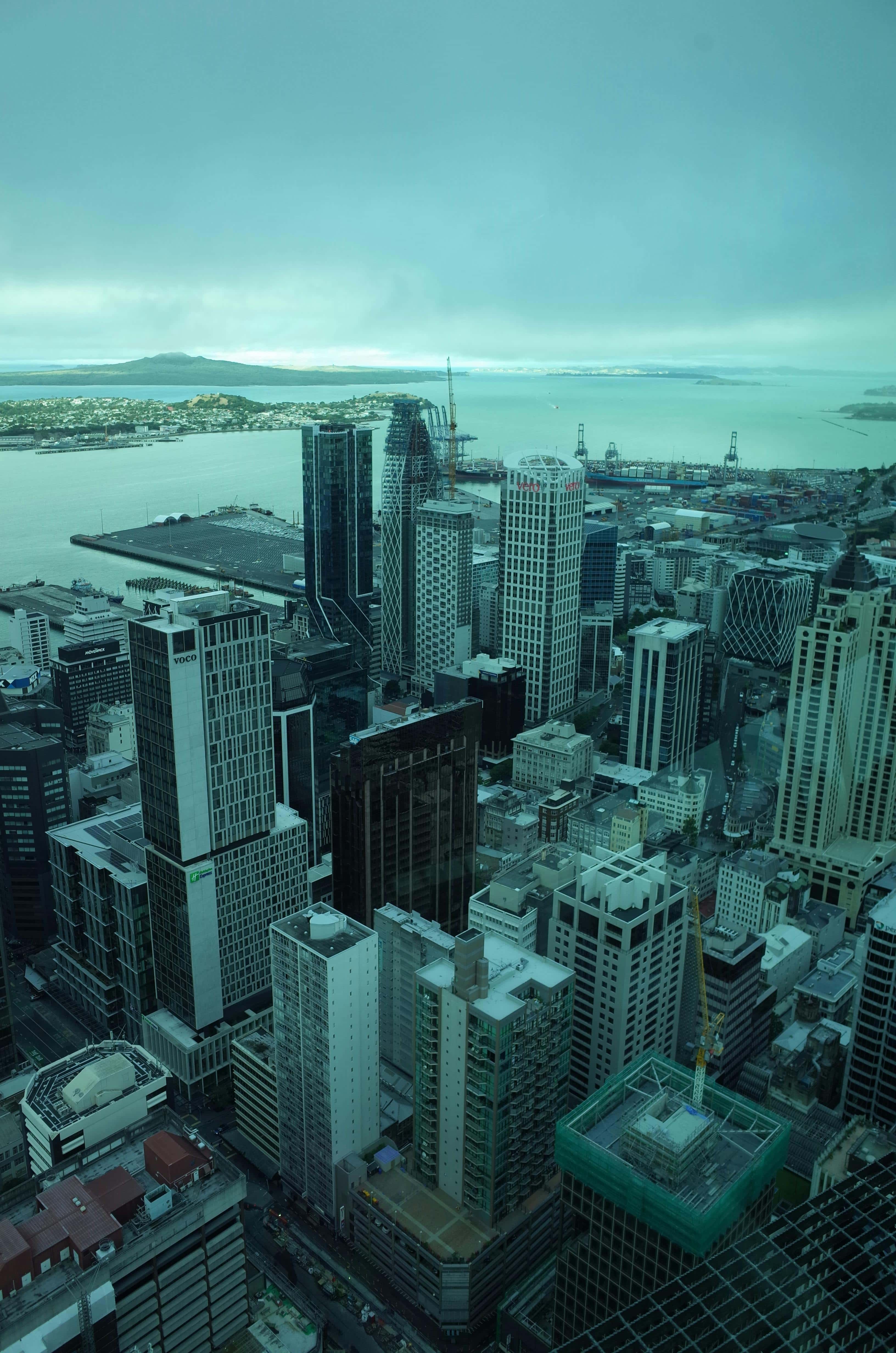 Study abroad in New Zealand - Innovative study destination